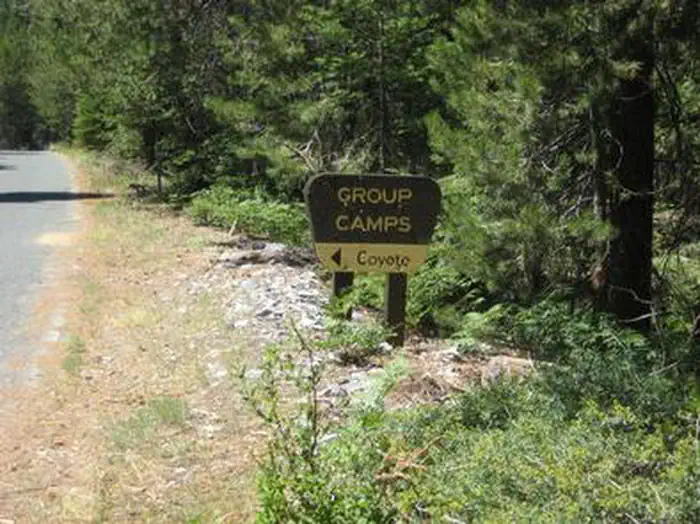 Coyote Group Campground — COYOTE GROUP