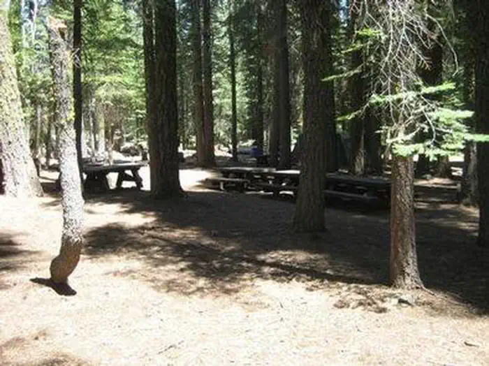 Coyote Group Campground — COYOTE GROUP