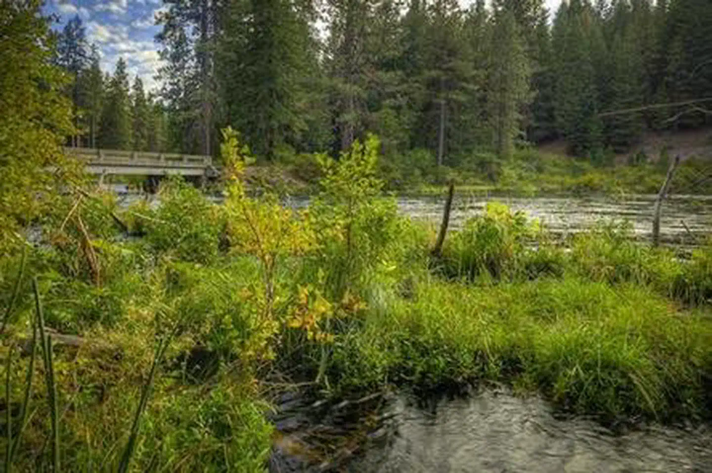 Lower Bridge Campground — LOWER BRIDGE CAMPGROUND