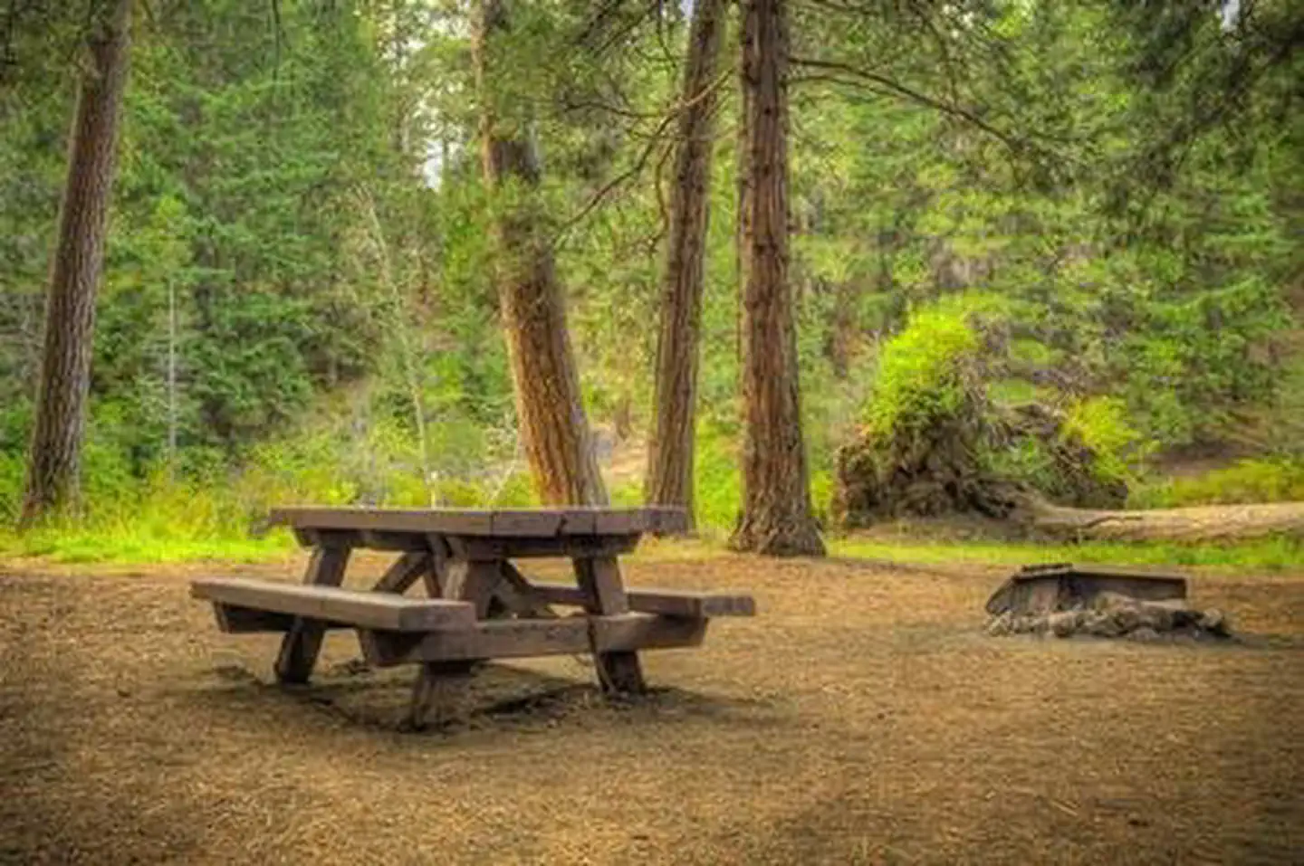 Lower Bridge Campground — LOWER BRIDGE CAMPGROUND