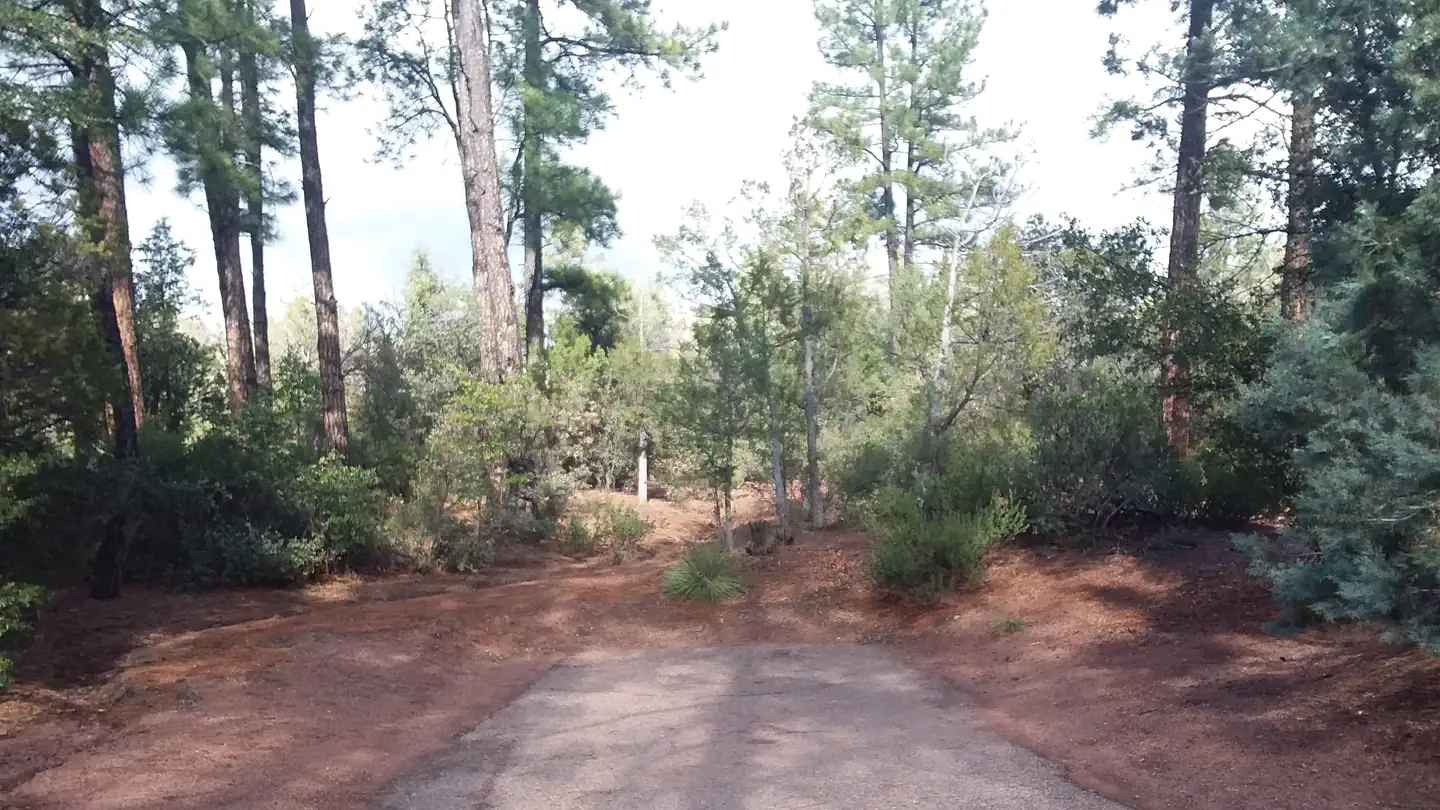 Houston Mesa Campground