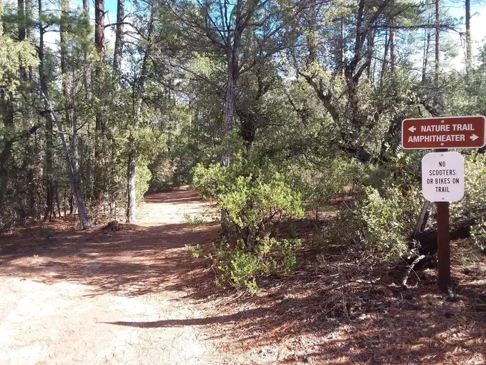 Houston Mesa Campground — Houston Mesa trailhead
