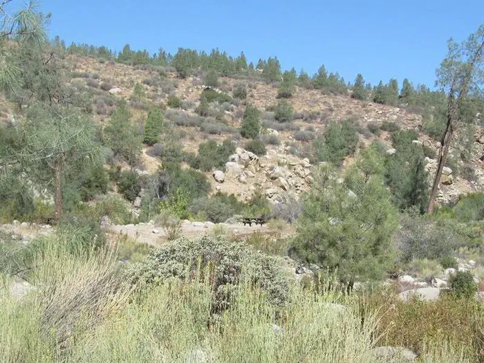 Gold Ledge Campground — Goldledge Campground