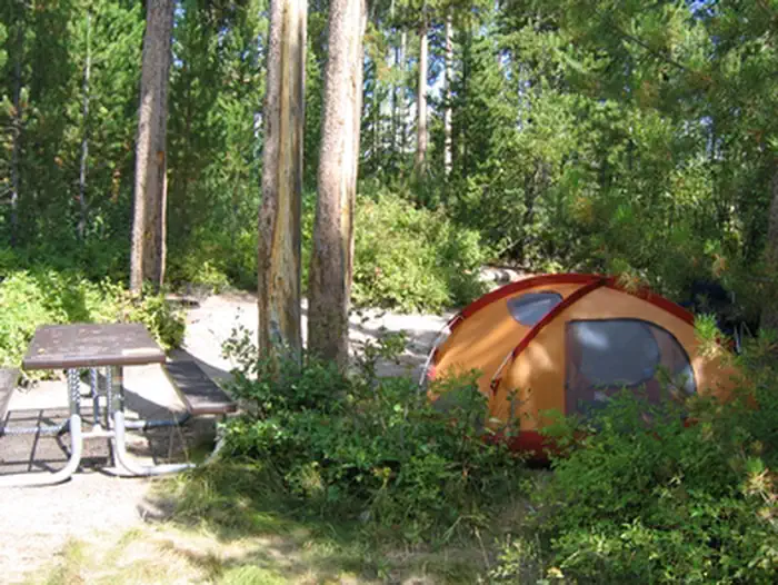 Signal Mountain Campground — Signal Mountain Campground Tent in the Forest