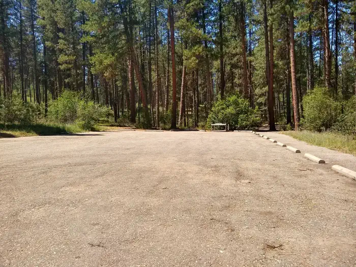 Grayback Gulch Campground — A large parking lot with parking beams for Grayback Group A.