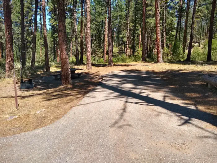 Grayback Gulch Campground — A moderately long paved driveway next to a single campsite.