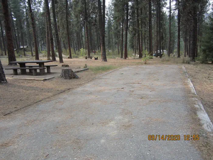 Grayback Gulch Campground — A long paved driveway next to a single campsite.