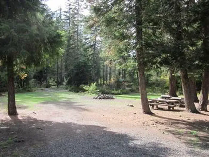 Pine Needle Group Site — PINE NEEDLE GROUP SITE
