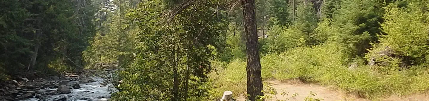 Pine Needle Group Site — Dirt trail above rocky creek and conifer forest.