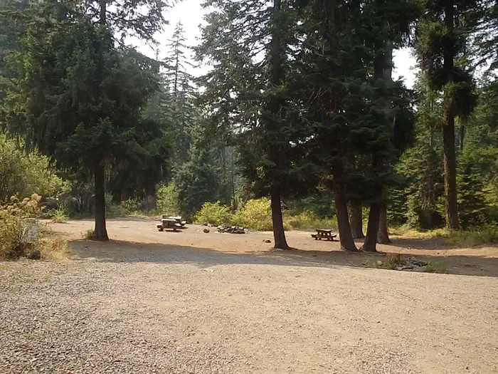 Pine Needle Group Site — PINE NEEDLE GROUP SITE