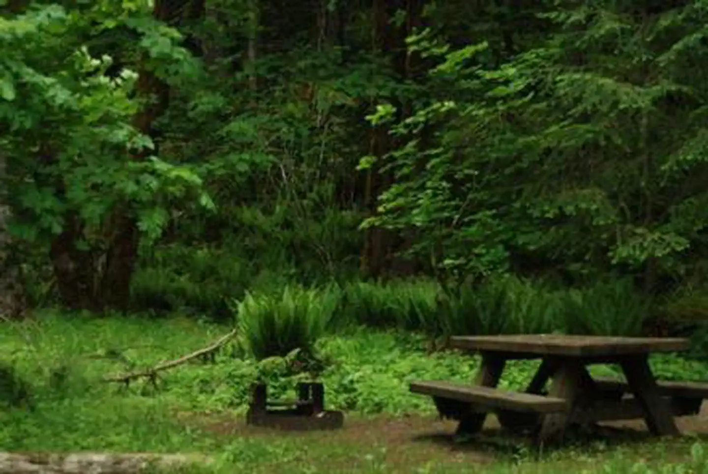 Blue Lake Creek Campground - Gifford Pinchot Nf (wa) — Blue Lake Creek Campground
