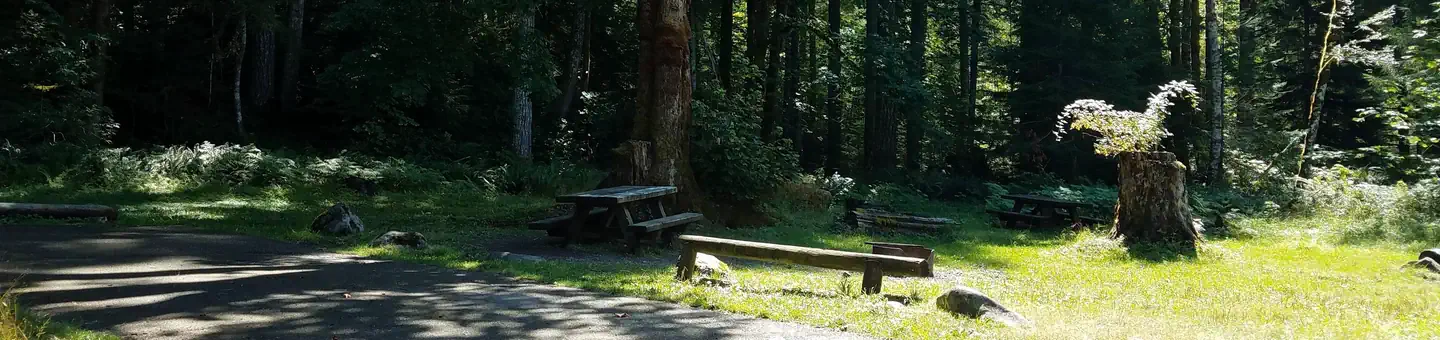 Blue Lake Creek Campground - Gifford Pinchot Nf (wa)