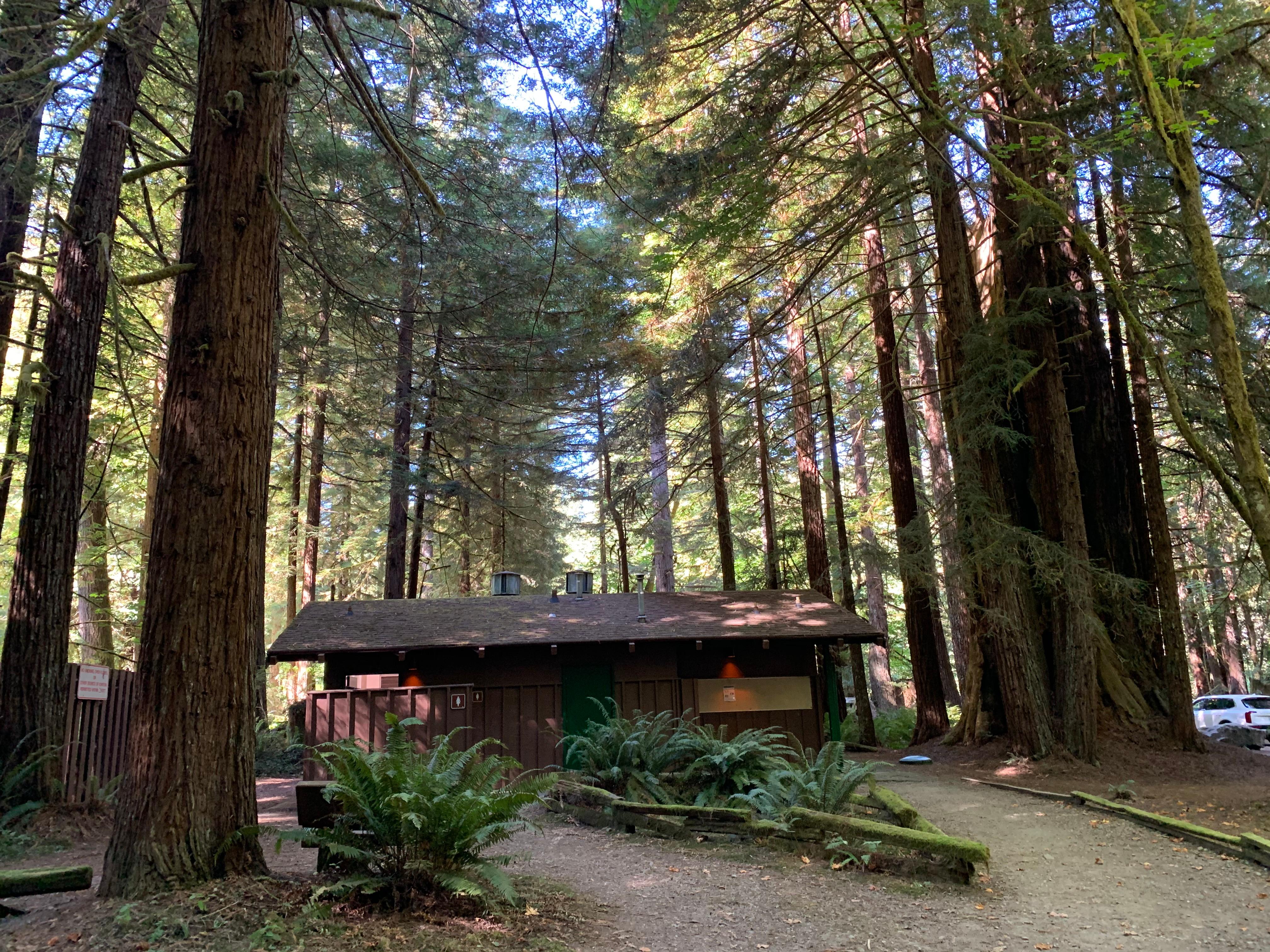 Mill Creek Campground - Del Norte Coast Redwoods State Park — Facilities at Mill Creek Campground