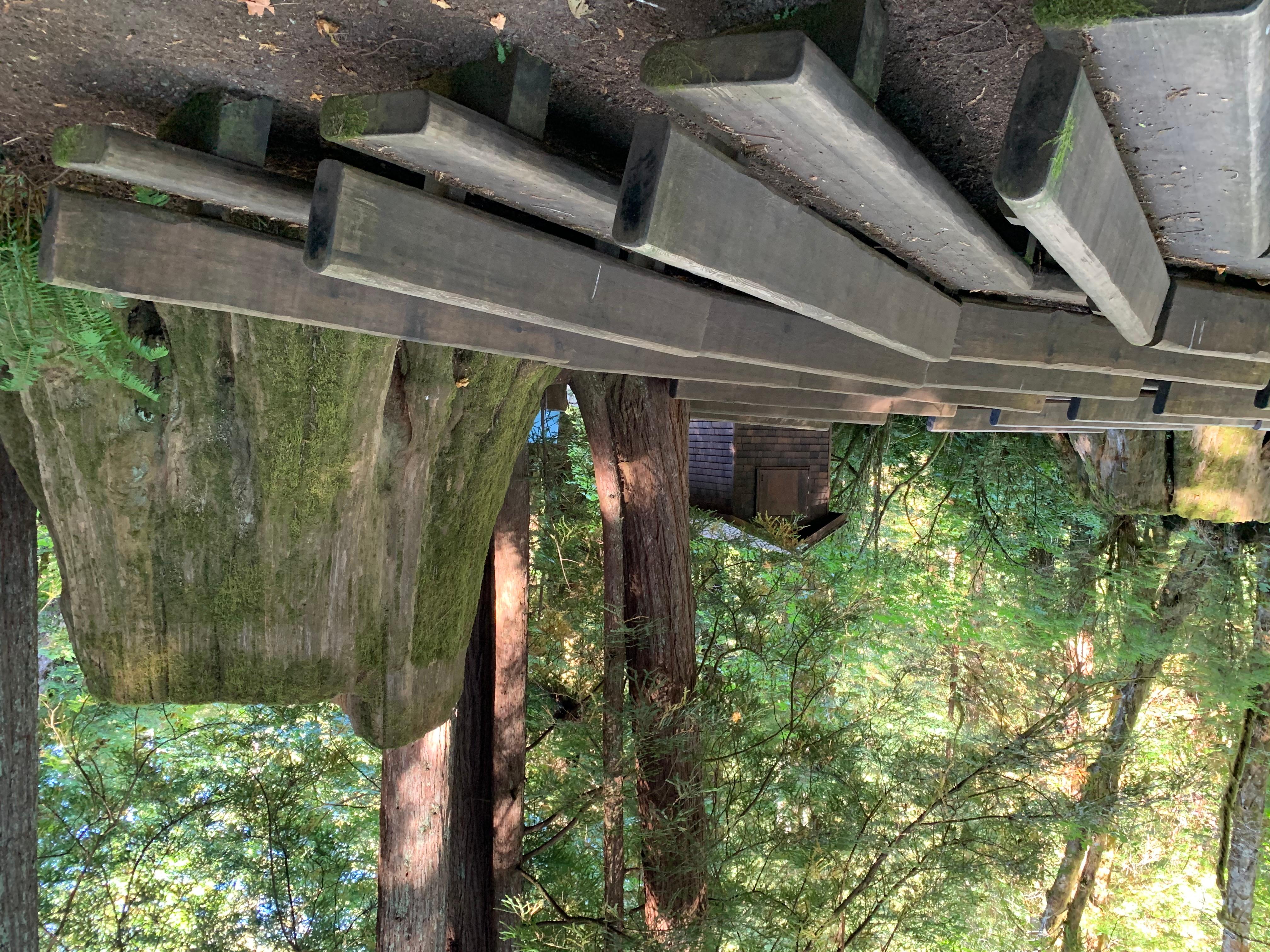 Mill Creek Campground - Del Norte Coast Redwoods State Park — Mill Creek Amphitheater seating