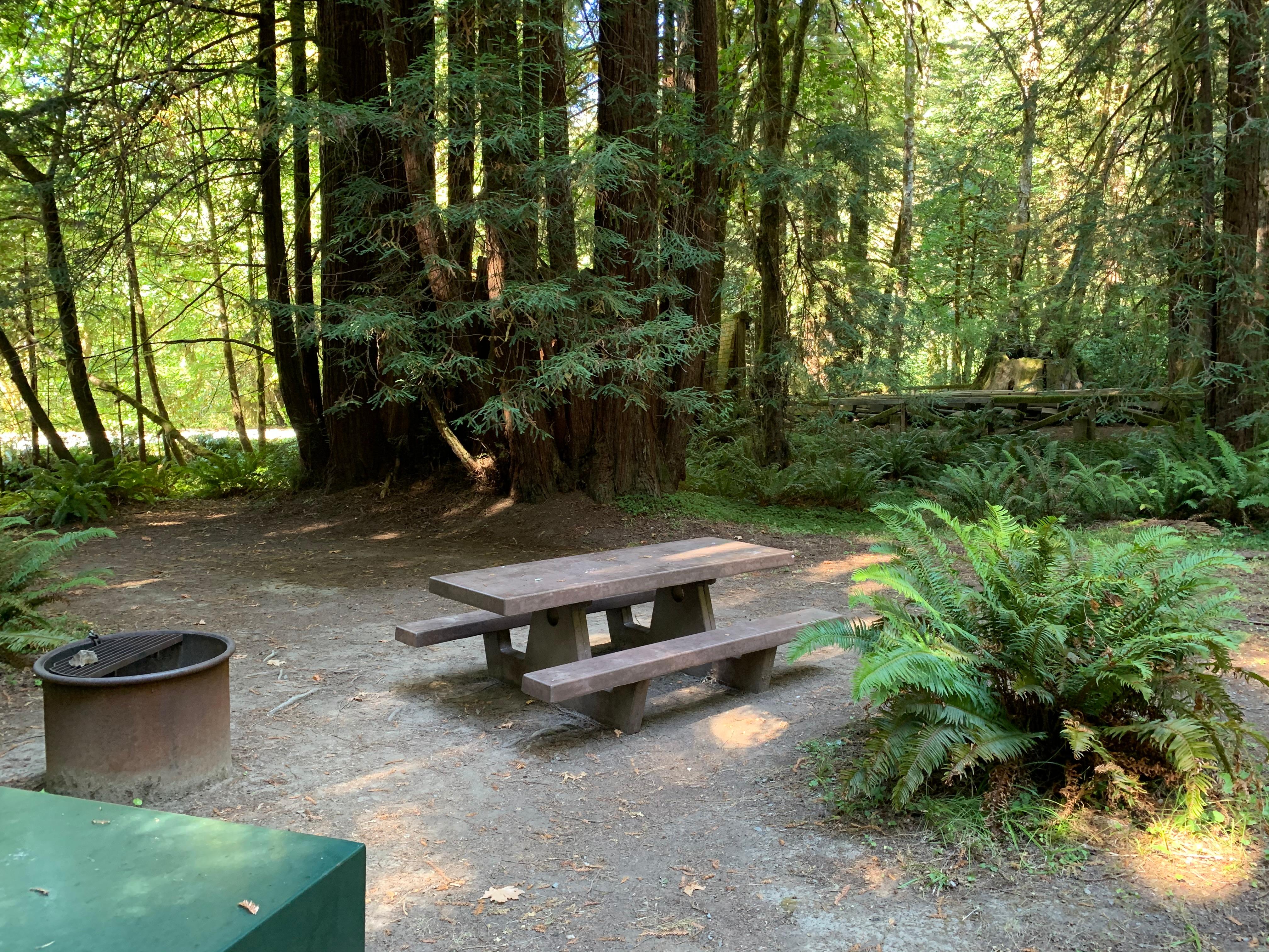 Mill Creek Campground - Del Norte Coast Redwoods State Park — Campsite at Mill Creek Campground