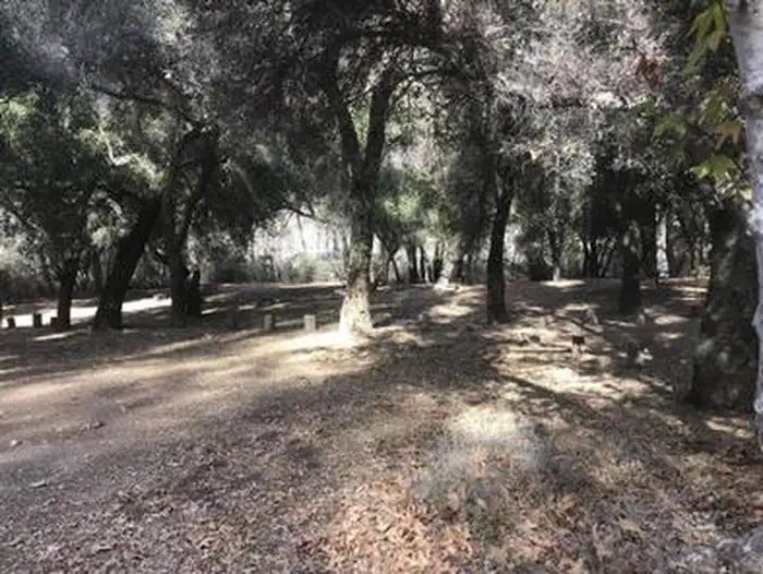 Nira Campground — NIRA CAMPGROUND