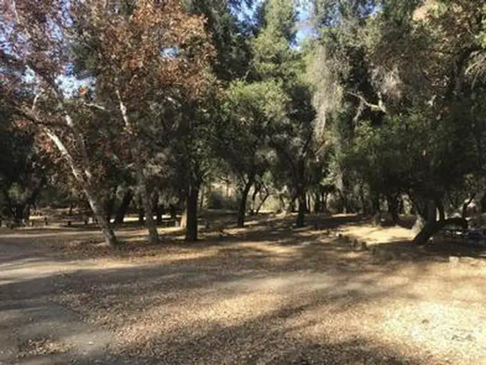 Nira Campground — NIRA CAMPGROUND