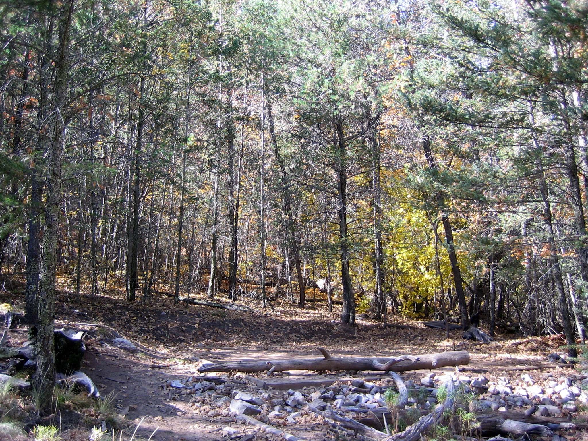 Tejas Wilderness Campground — Tejas tent pad