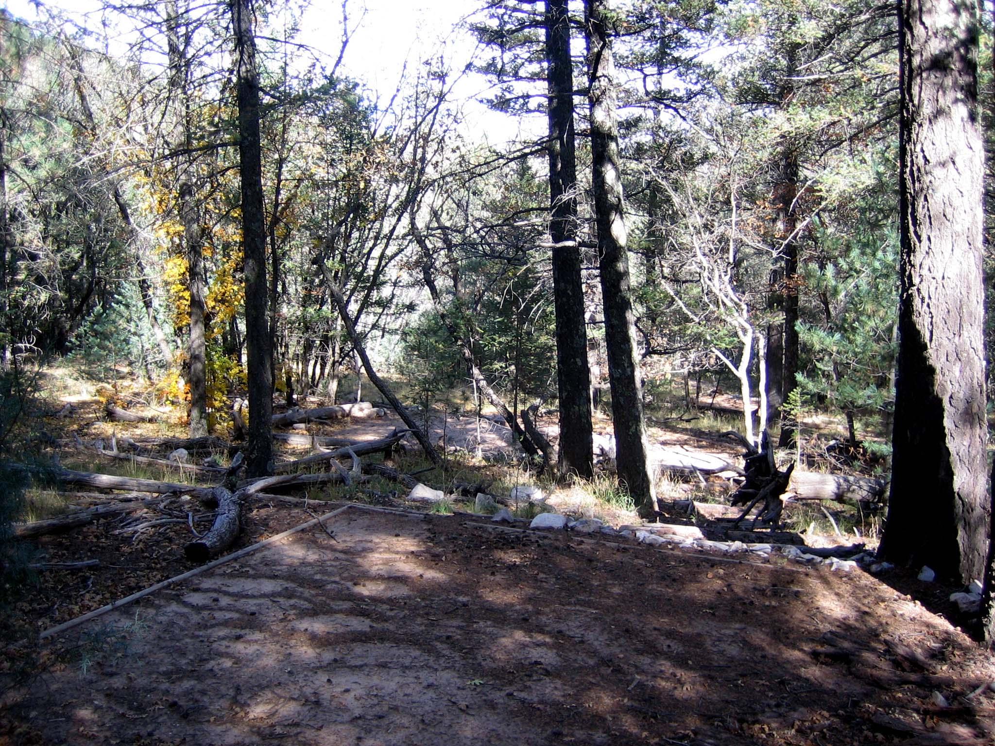 Tejas Wilderness Campground — Tejas tent pad