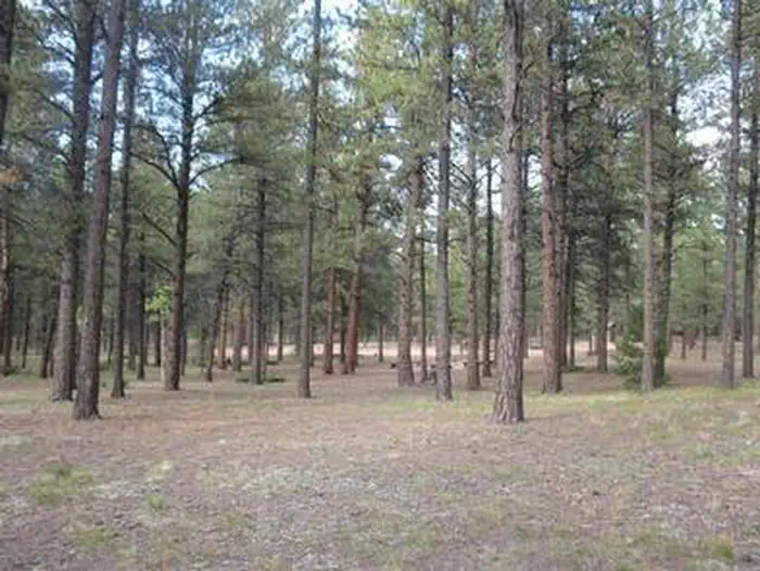 Red Rocks Group Campground — RED ROCKS GROUP CAMPGROUND