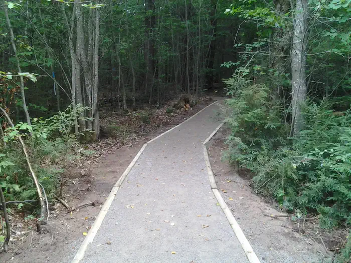 Grand Island Cabins — Grand Island Cabin - Pathway