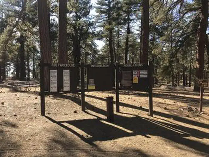 Campo Alto Campground — CAMPO ALTO CAMPGROUND