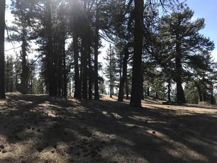 Campo Alto Campground