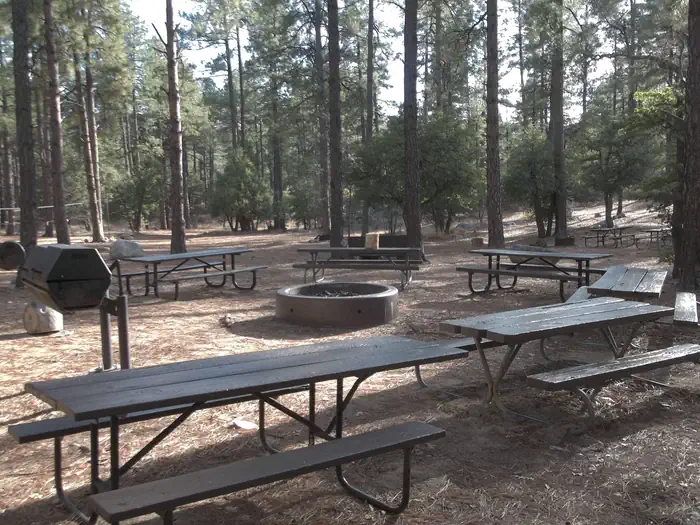 Upper Wolf Creek Group β UPPER WOLF CREEK GROUP CAMP FIRE PIT