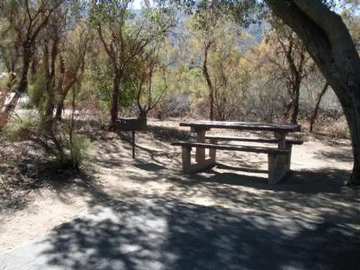 Oak Grove - CA — Picnic table and grill under the shade of a large tree.