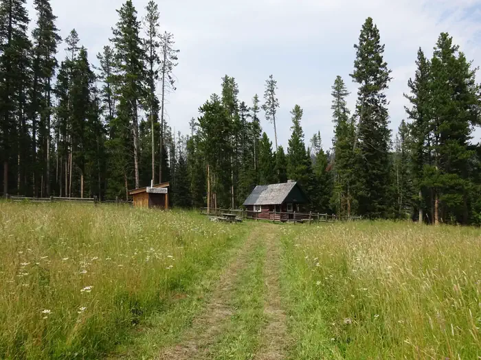 Trail Creek Cabin — Trail Creek Cabin wildflowers