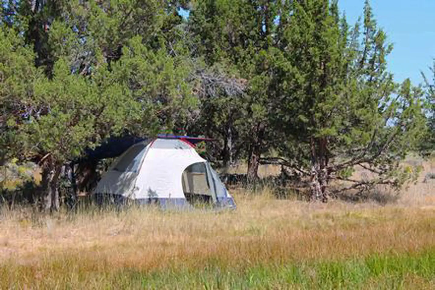 Reynolds Pond Recreation Site — Reynolds Pond Recreation Site