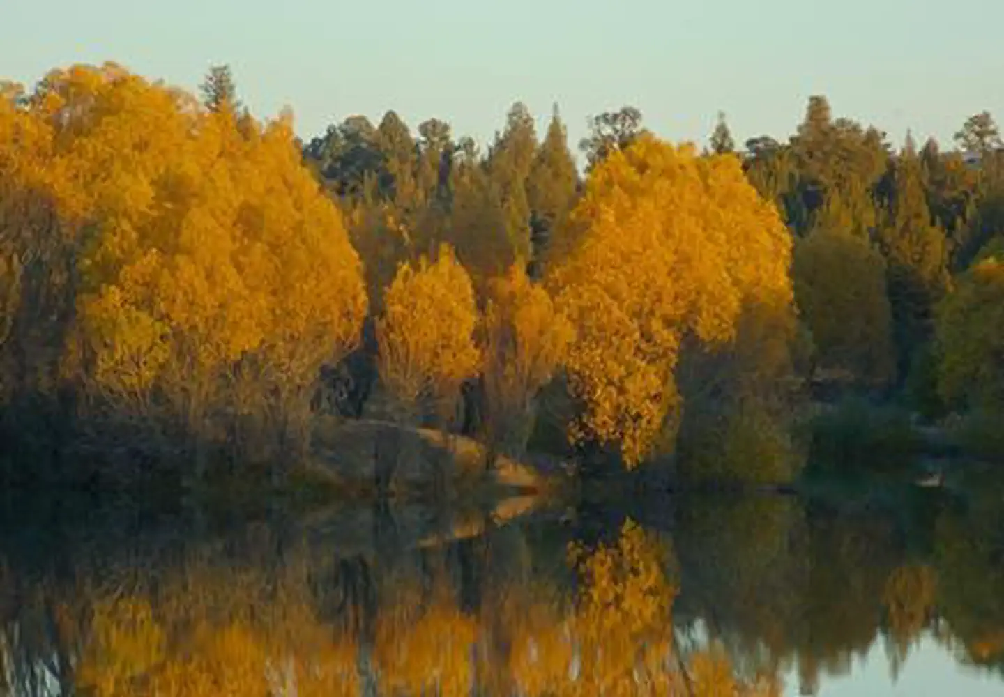 Reynolds Pond Recreation Site — Reynolds Pond Recreation Site