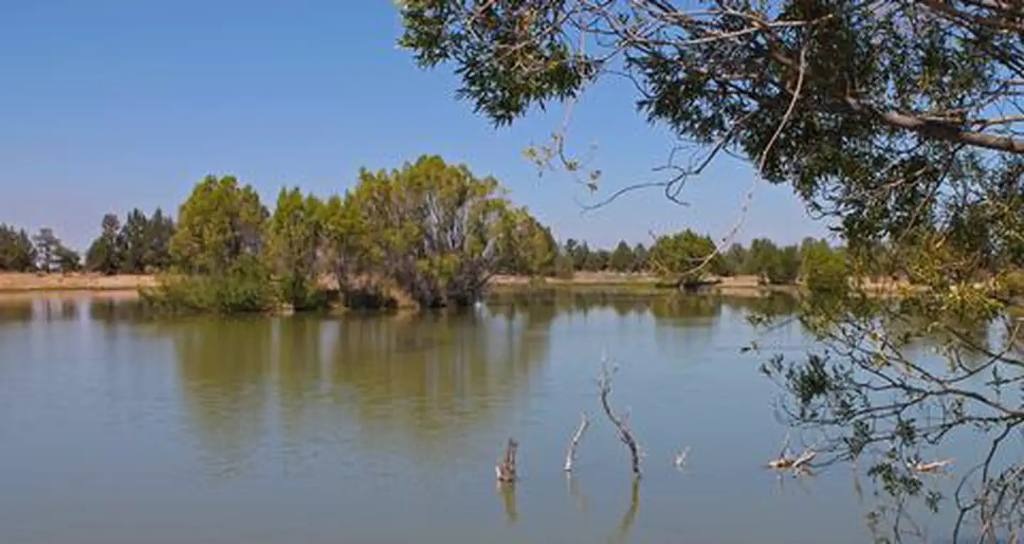 Reynolds Pond Recreation Site — Reynolds Pond Recreation Site