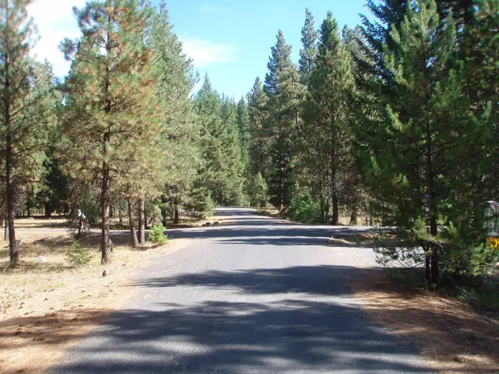 Kaner Flat Campground — Flat paved road lined with pine and fir trees under partly cloudy sky.