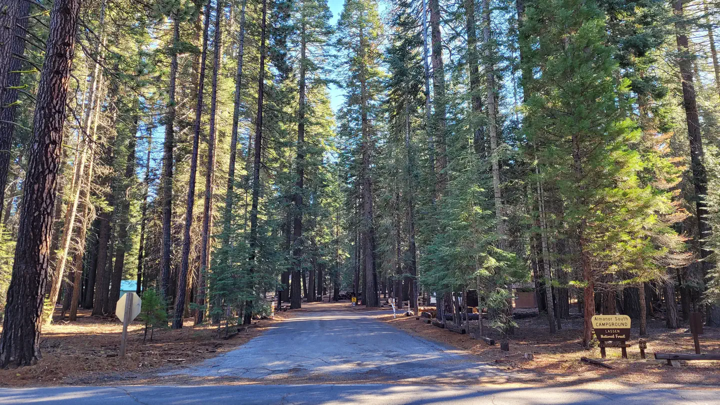 Almanor