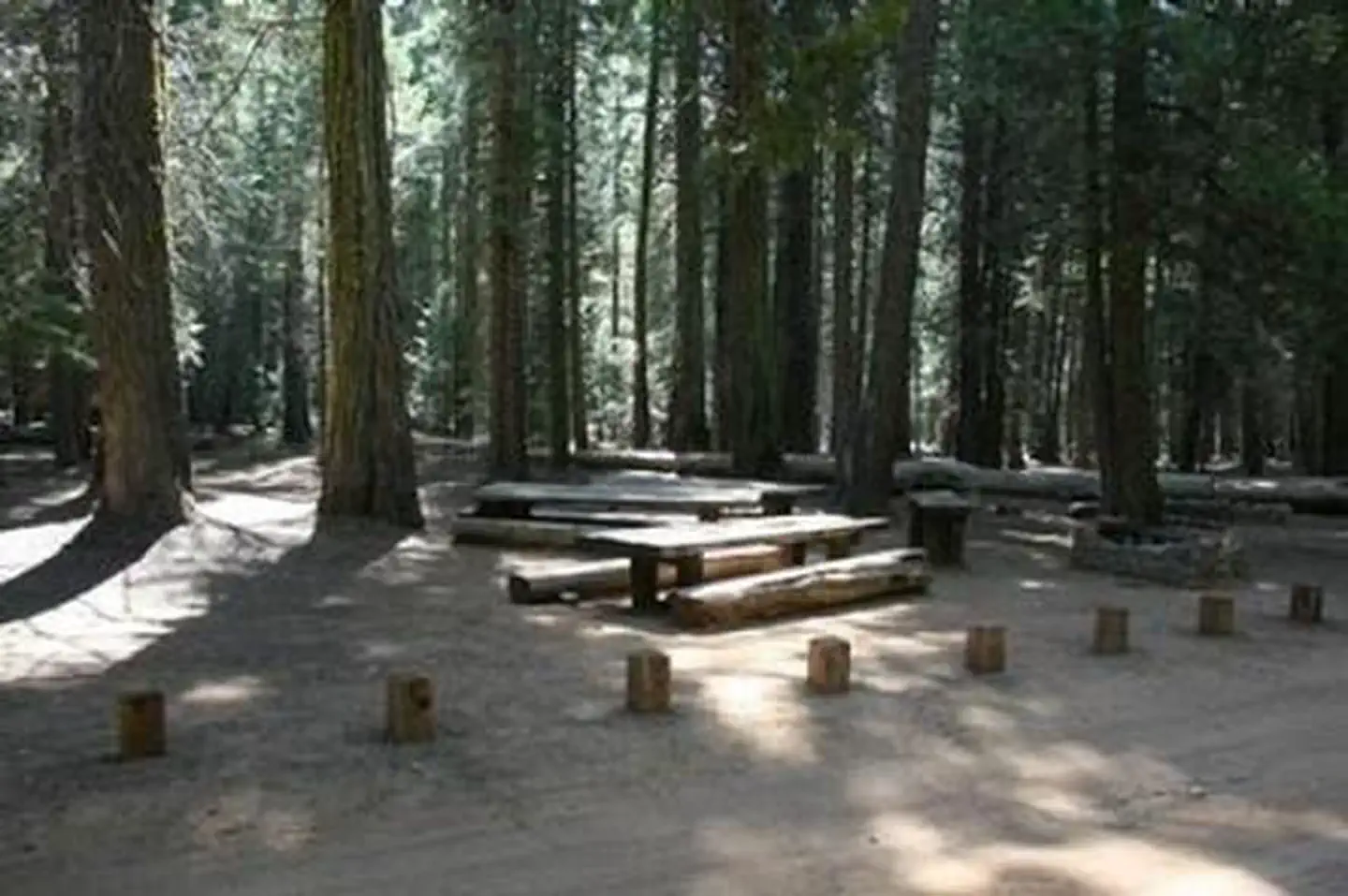 Texas Flat Group Campground — TEXAS FLATS