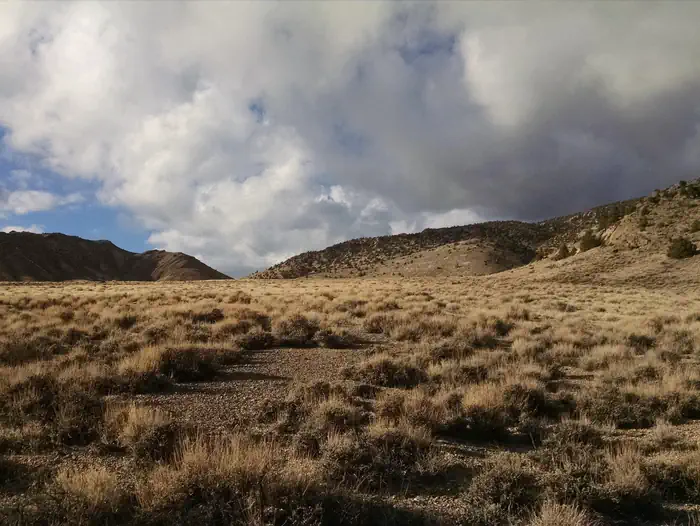 Wheeler Peak Campground — Sunlit sage under clouds and blue sky