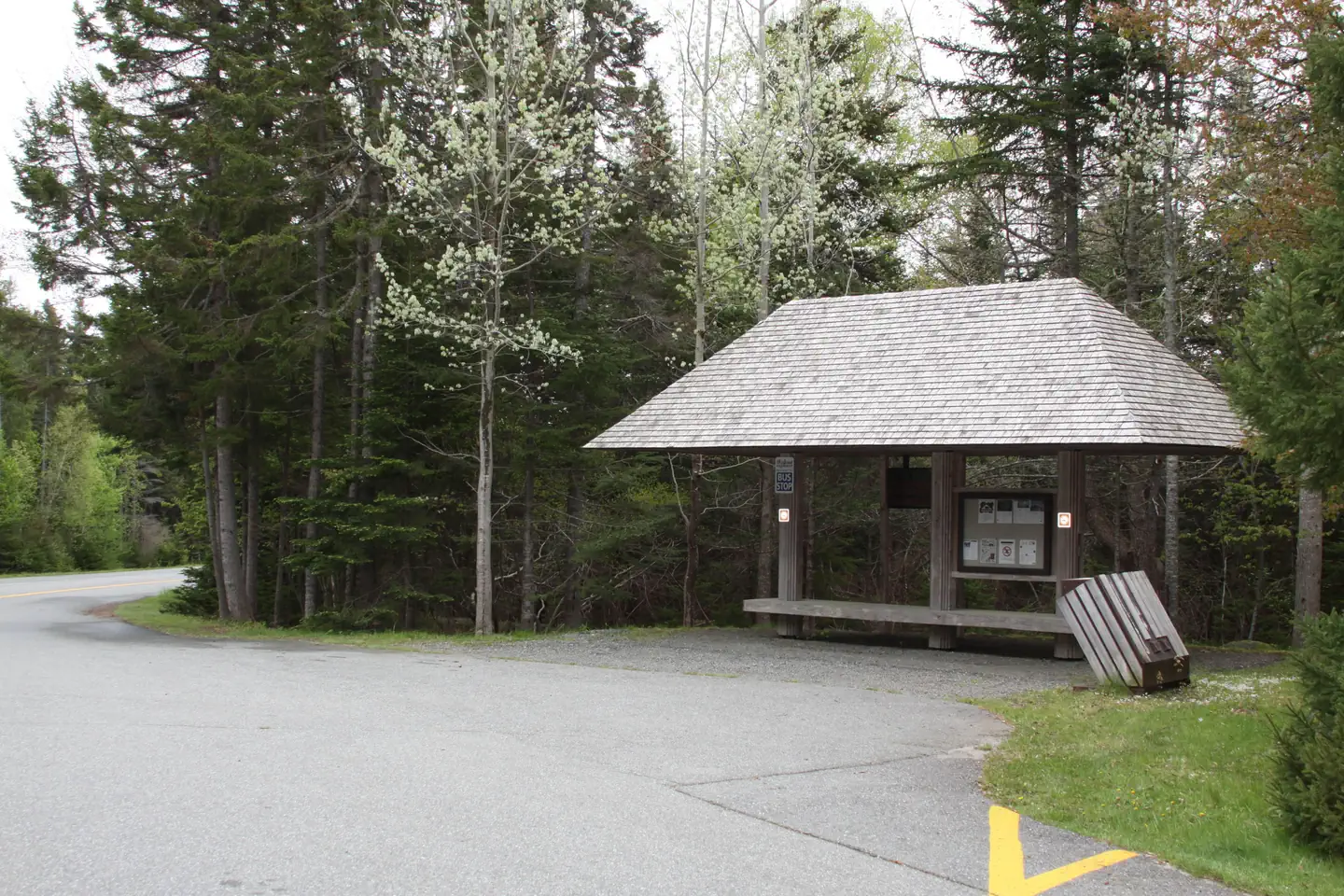 Seawall Campground — Island Explorer Bus Stop at Seawall Campground