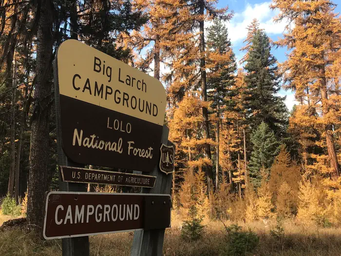 Big Larch Campground — Big Larch Campground Entrance Sign. It reads: Big Larch Campground, Lolo National Forest, U.S. Department of Agriculture, Campground. Western Larch trees displaying fall colors can be seen in the background.