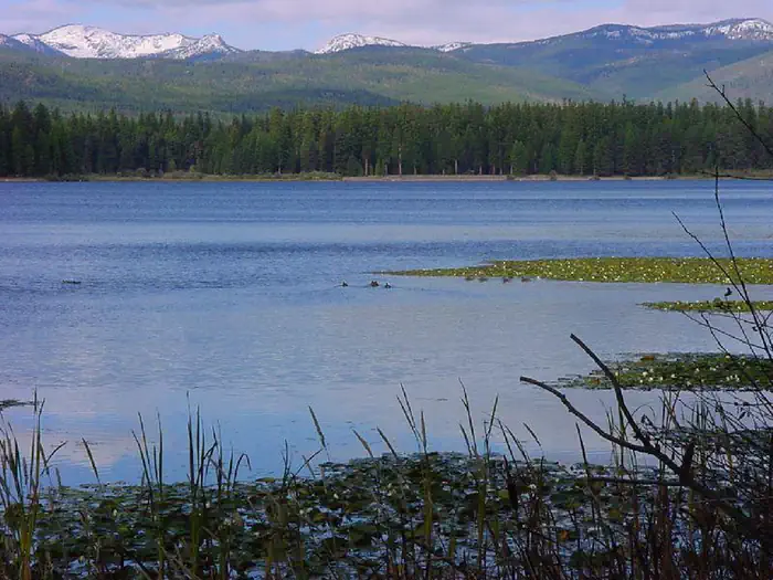 Big Larch Campground — A photo of Big Larch Campground day use swimming beach. It is summer and there are blue skies and a blue reflection on the water. The snow-capped Mission mountains can be seen in the distance.
