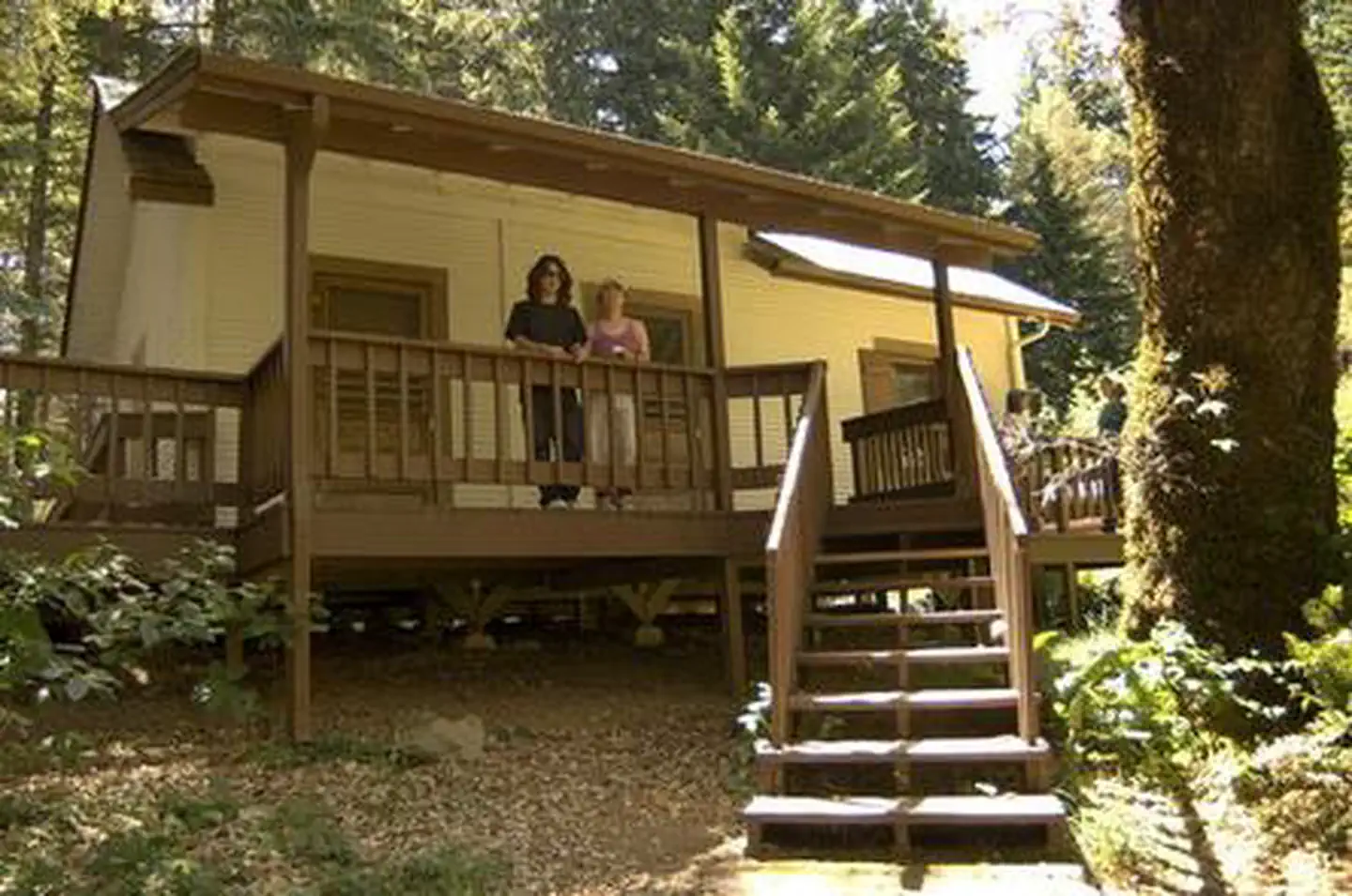 Packers Cabin — PACKERS CABIN