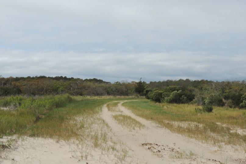 Back Country Camping - Pine Tree — Pine Tree Access Road