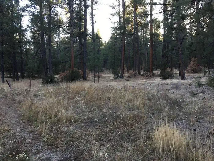 Amole Canyon Group Shelter — Amole Canyon RV Site