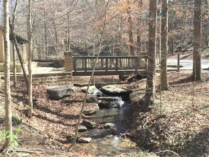 Burchfield Branch Park — Burchfield Branch