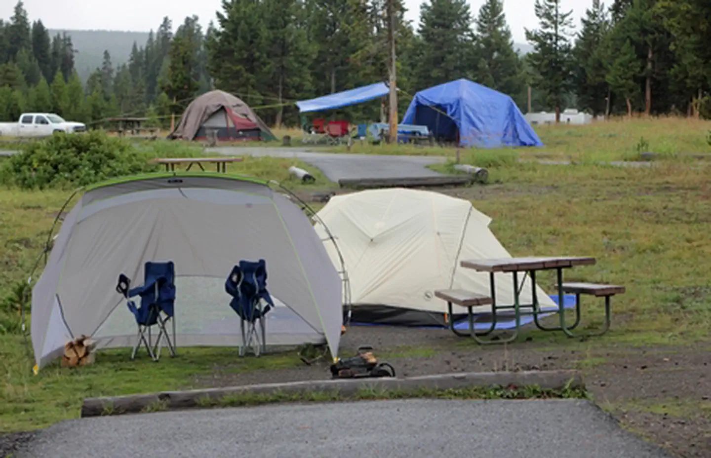 Bridge Bay Campground — Bridge Bay Campground