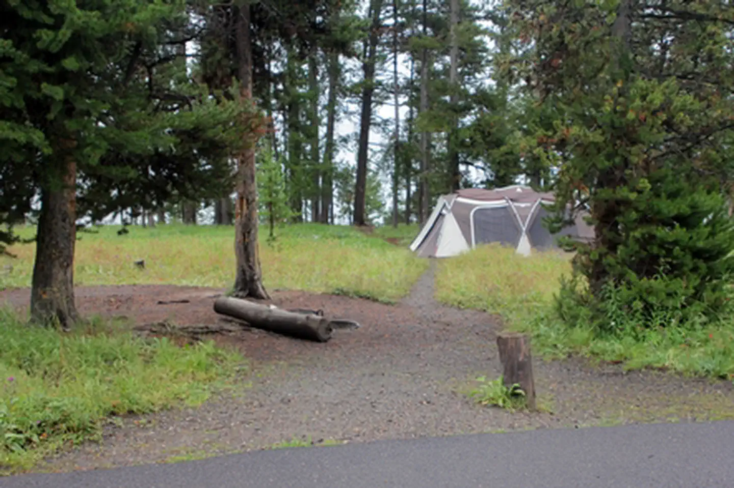 Bridge Bay Campground — Bridge Bay Campground