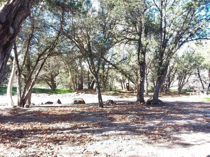 Cave Creek Group Site β Shaded open area.