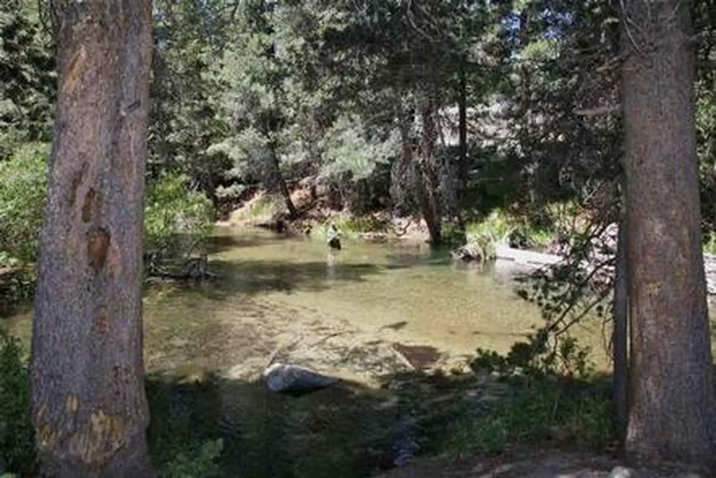 Lower Twin Lake Campground