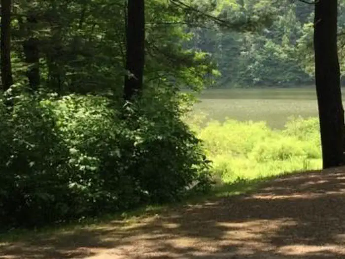 Hopewell Boat Access Campground — rustic campground just north of Sugar Bay