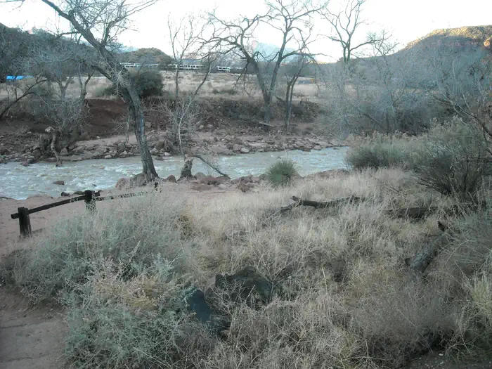 South Campground — South Campground River